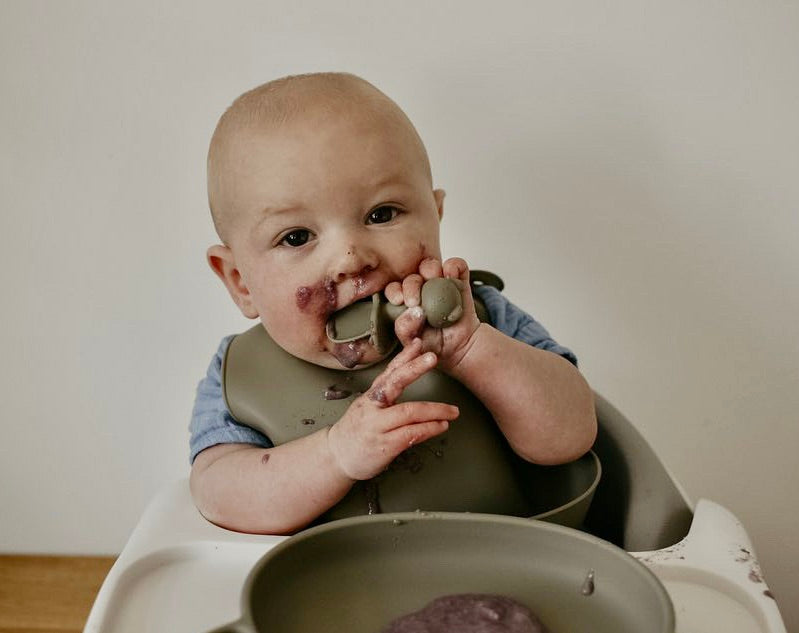 Chomp Baby Weaning