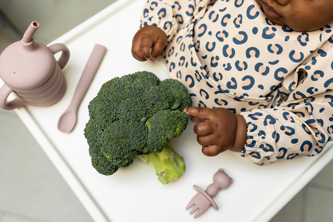  Chomp Baby Weaning