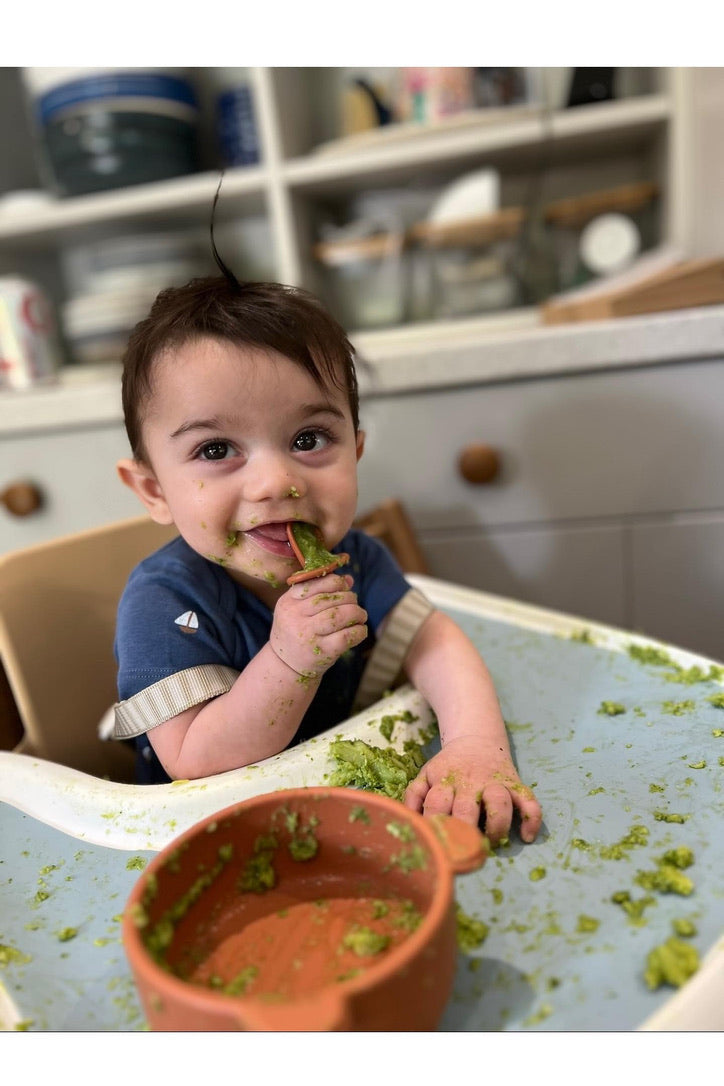Baby Weaning Suction Bowl
