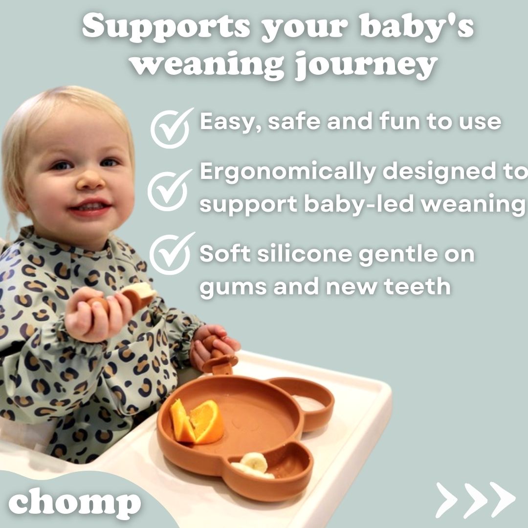 chomp baby weaning set- complete feeding set