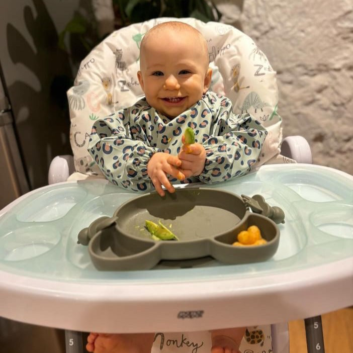  Chomp Baby Weaning