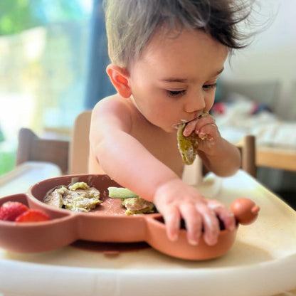Baby Suction Plates Double Pack