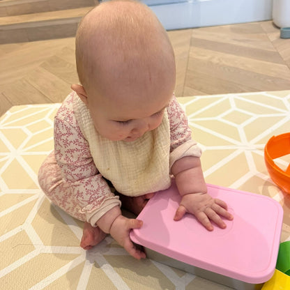 Stainless Steel Lunchbox with Removable Silicone Dividers