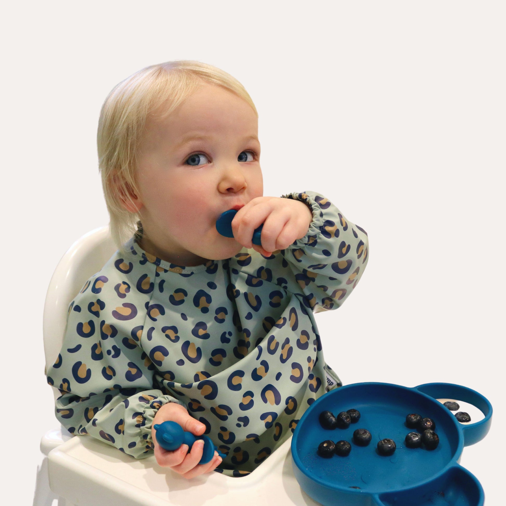 DUTCH 25 Baby Led Weaning - with bibs,divided,plate,bowl, sippy